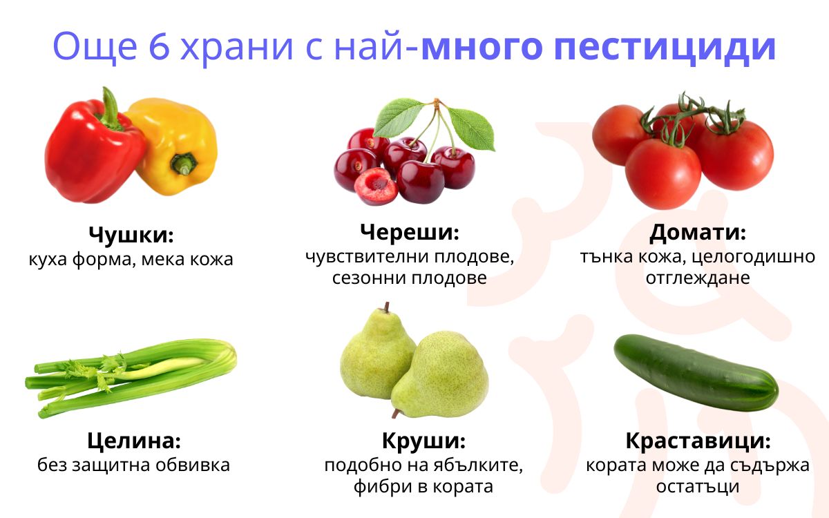 (Bulharština) (6)